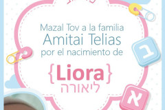 Imagen1 Imagen1